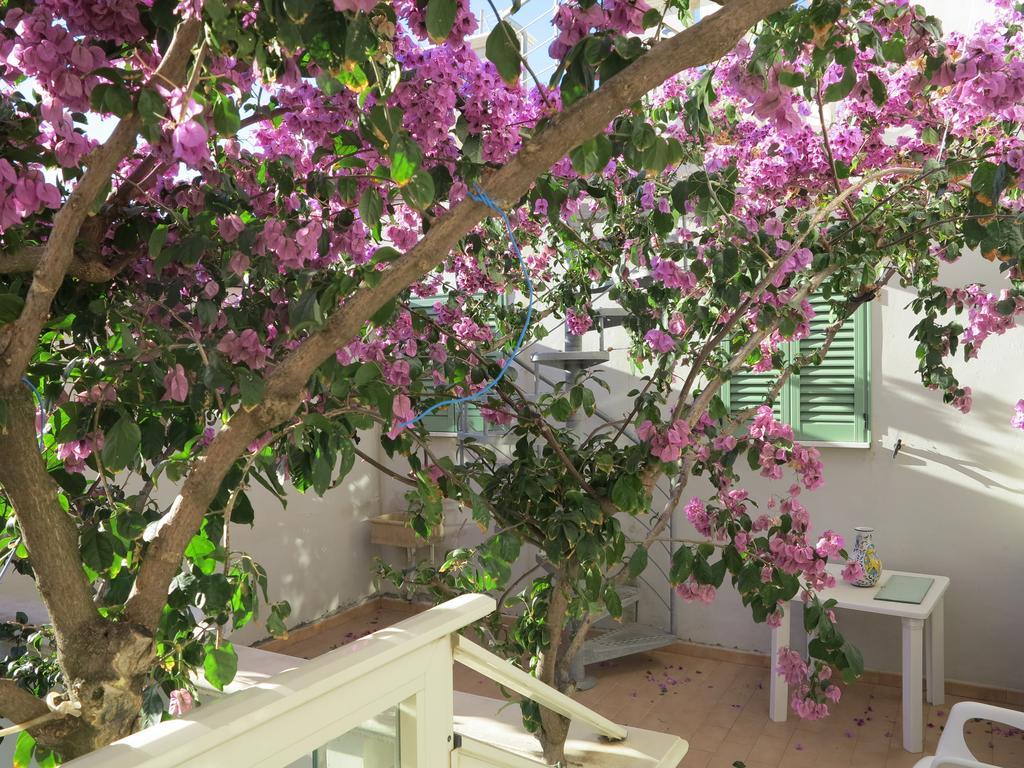 Casamare Hotel San Vincenzo Cameră foto